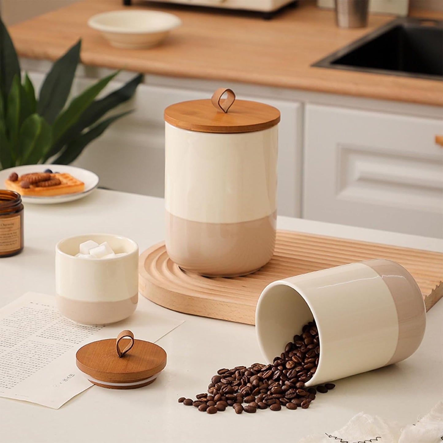 Coffee Canister, Ceramic Food Storage Jars with Lids Salt Matcha Container Brown Sugar Container Bowl for Kitchen Tea, Coffee Beans, Spice (#001Khaki-9oz/260ml)