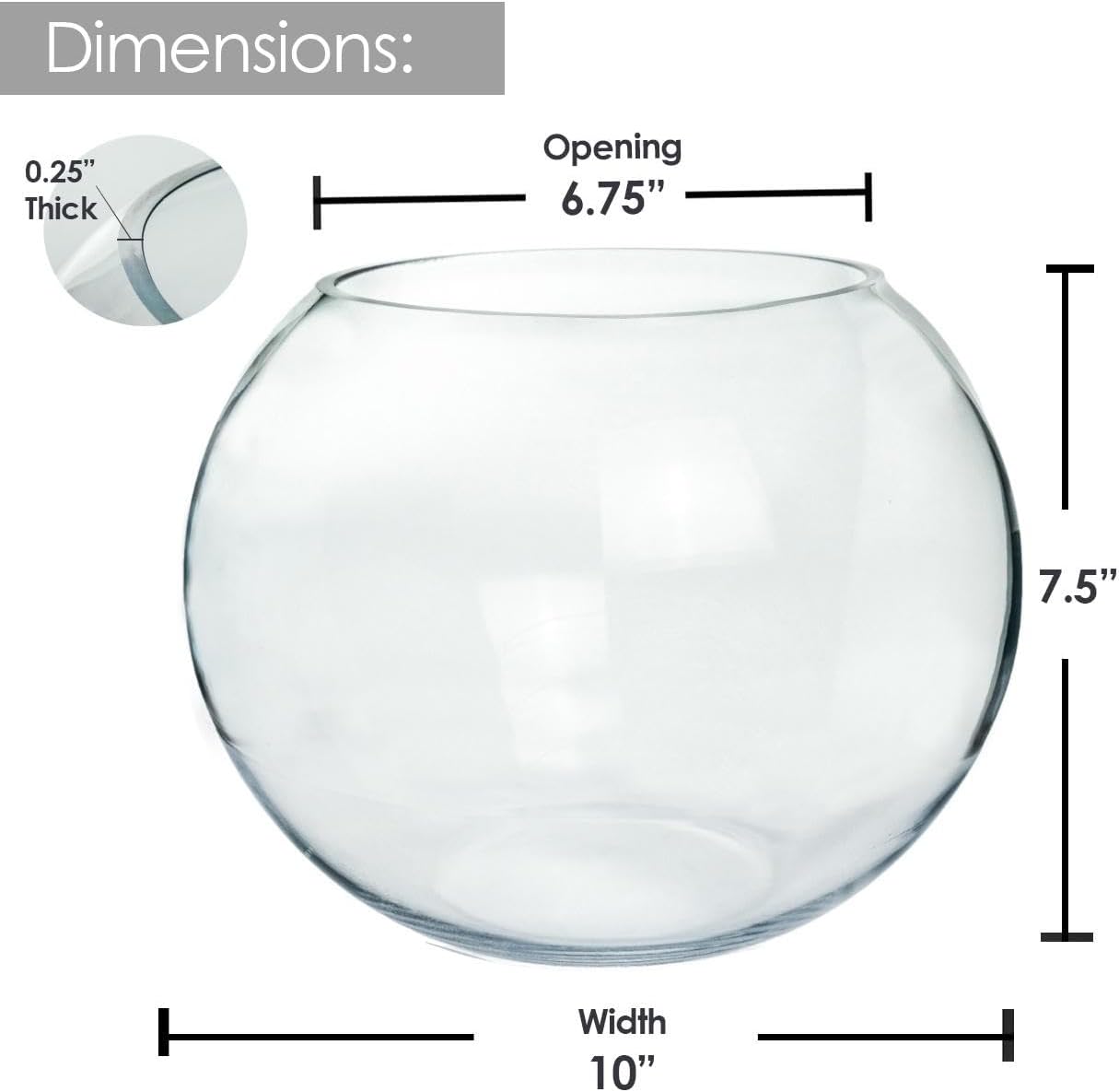 Craft And Party, Glass Bubble Vase, 8" Height x 10" Width Glass Fish Bowl, Bubble Bowl for Terrarium, Flower Centerpiece