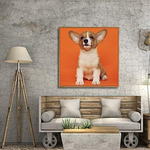 NWT Custom Framed Canvas Prints with Your Photo for Pets, Personalized Canvas Wall Art for Living Room, Bedroom - 24x24 inches