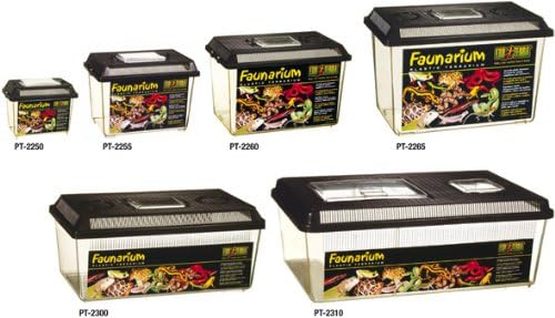 Exo Terra Faunarium Flat Home Plastic Reptile Terrarium, Large (18" x 12" x 6.5"), Ideal for Temporary Housing, Quarantine, and Transport, Transparent Plastic Door for Easy Access