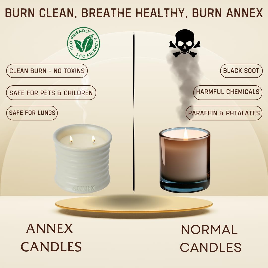 Scented Luxury Citronella Candles outdoor, Mosquito Bug Repellent | Handmade Ceramic Jars, Soy Wax | Cloudy Pillow - Fig Leaf & Lemon, Large Natural Candle | Non Toxic, 2 Wicks, Reusable Big Beige Jar