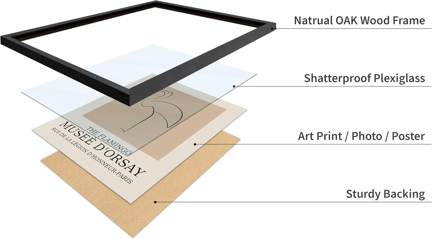 Poster Master Vintage Poster - Retro Minimalist Print - Gift for Artist, Housewarming - Flamingo, Line Drawing, Sketch, Abstract - Wall Decor for Living Room, Bedroom, 11x14 Black Framed