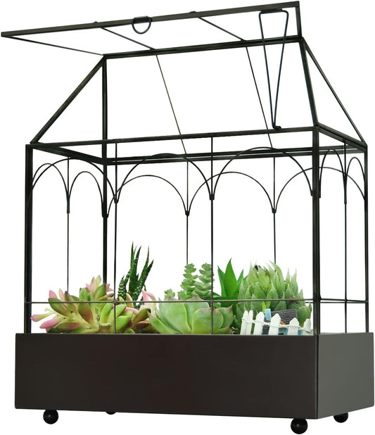 Large Tall Glass Plant Terrarium – House Succulent Terrarium Kit with Lip and Tray Glass Greenhouse Terrarium for Plant 9.5”X5.7”X11.4”