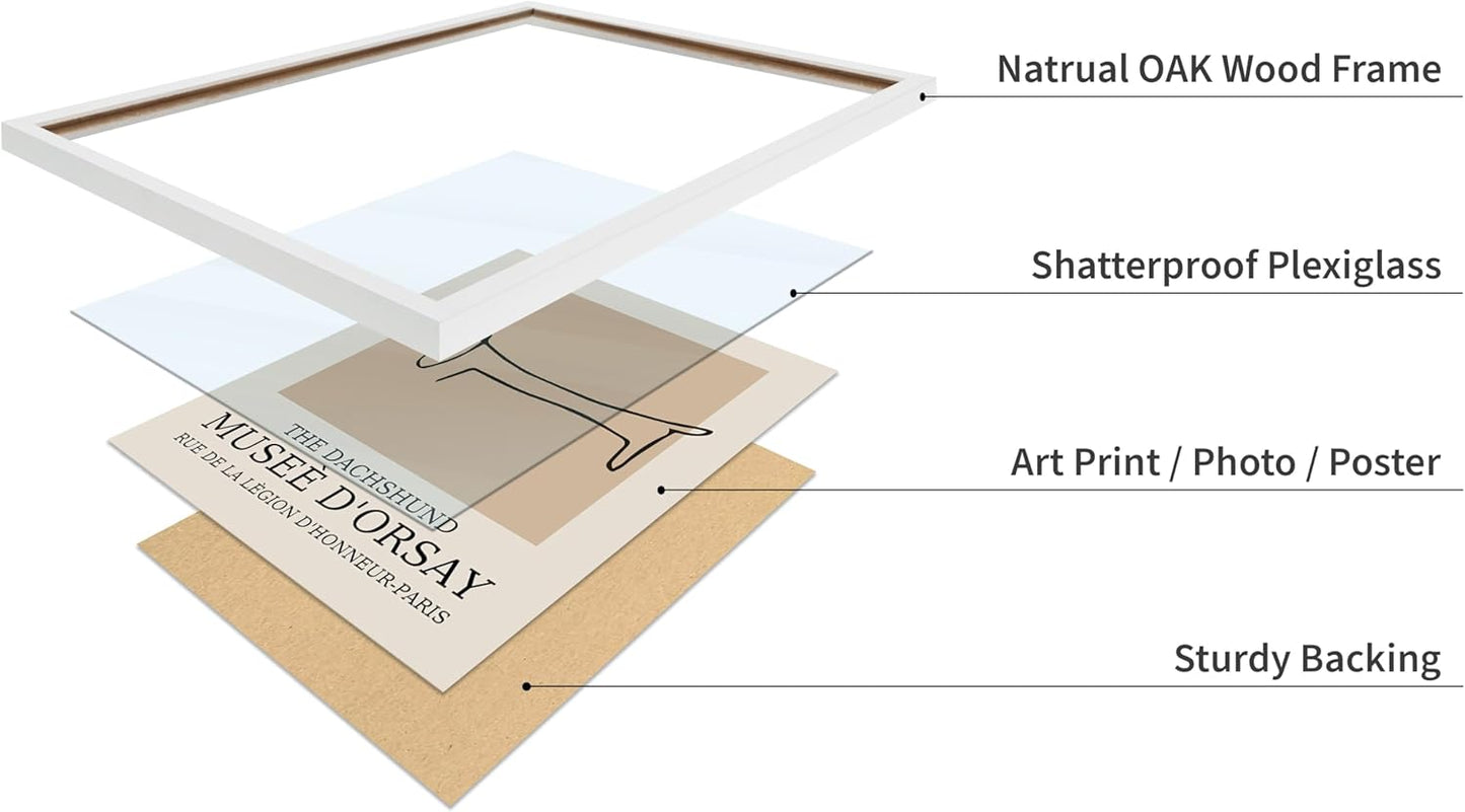 Poster Master Vintage Poster - Retro Minimalist Print - Gift for Artist, Housewarming - Dachshund Dog, Line Drawing, Abstract - Wall Decor for Living Room, Bedroom, 16x20 White Framed