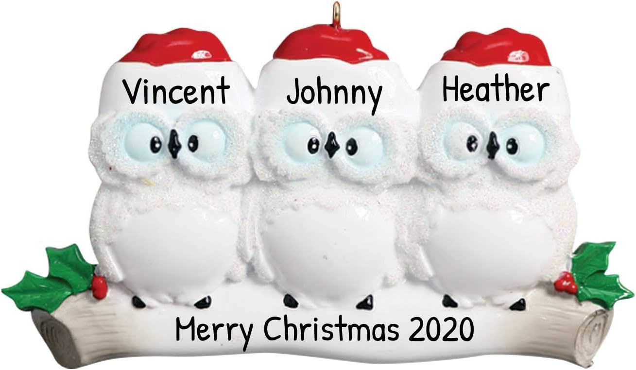 3D Owl Family of 3 Christmas Ornament 2025 Personalized Family Christmas Ornaments 2025 | White Holiday Keepsake Personalized Tree Ornaments Customizable Gifts Woodland Owls of Three Ornament Holly
