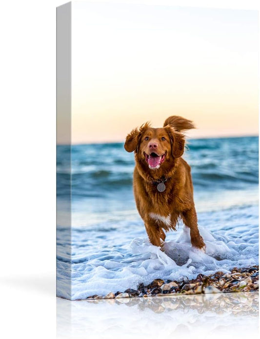 NWT Custom Canvas Prints with Your Photos for Pet/Animal, Personalized Pictures to Canvas for Wall Framed 10x8 inches