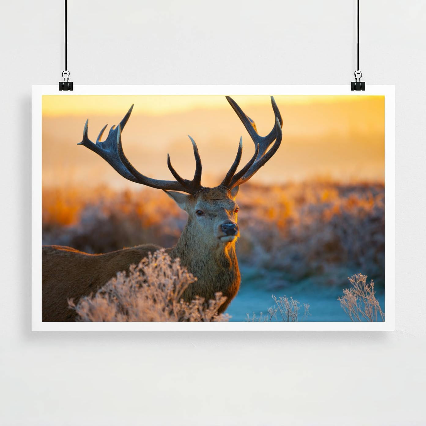 Personalized Custom Poster Prints: 16L x 24W Photo On Canva Transform Your Photos into Stunning Unframed Wall Art Digitally Printed (16L x 24W, Unframed)