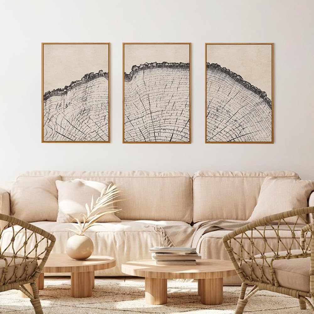 HPINUB Vintage Wood Tree Rings Wall Art Set, Framed Canvas Paintings, Black and White Nature-Inspired Decorative for Modern Home Decor for Living Room, Bedroom, Dining Room, Office- 16"x24"x3