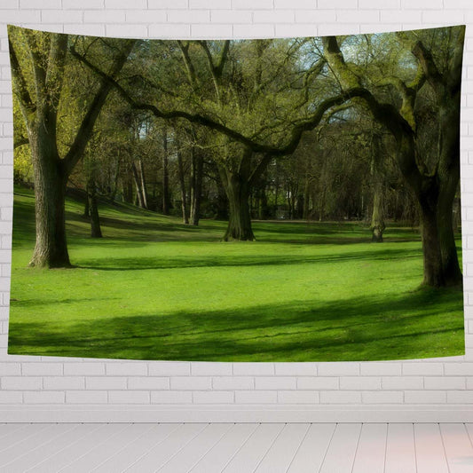 Landscape Tapestry For Bedroom Landscape Of Kings Park Green And Nature Scene Tapestries Wall Hanging For Living Room Dorm Office 60×40 In