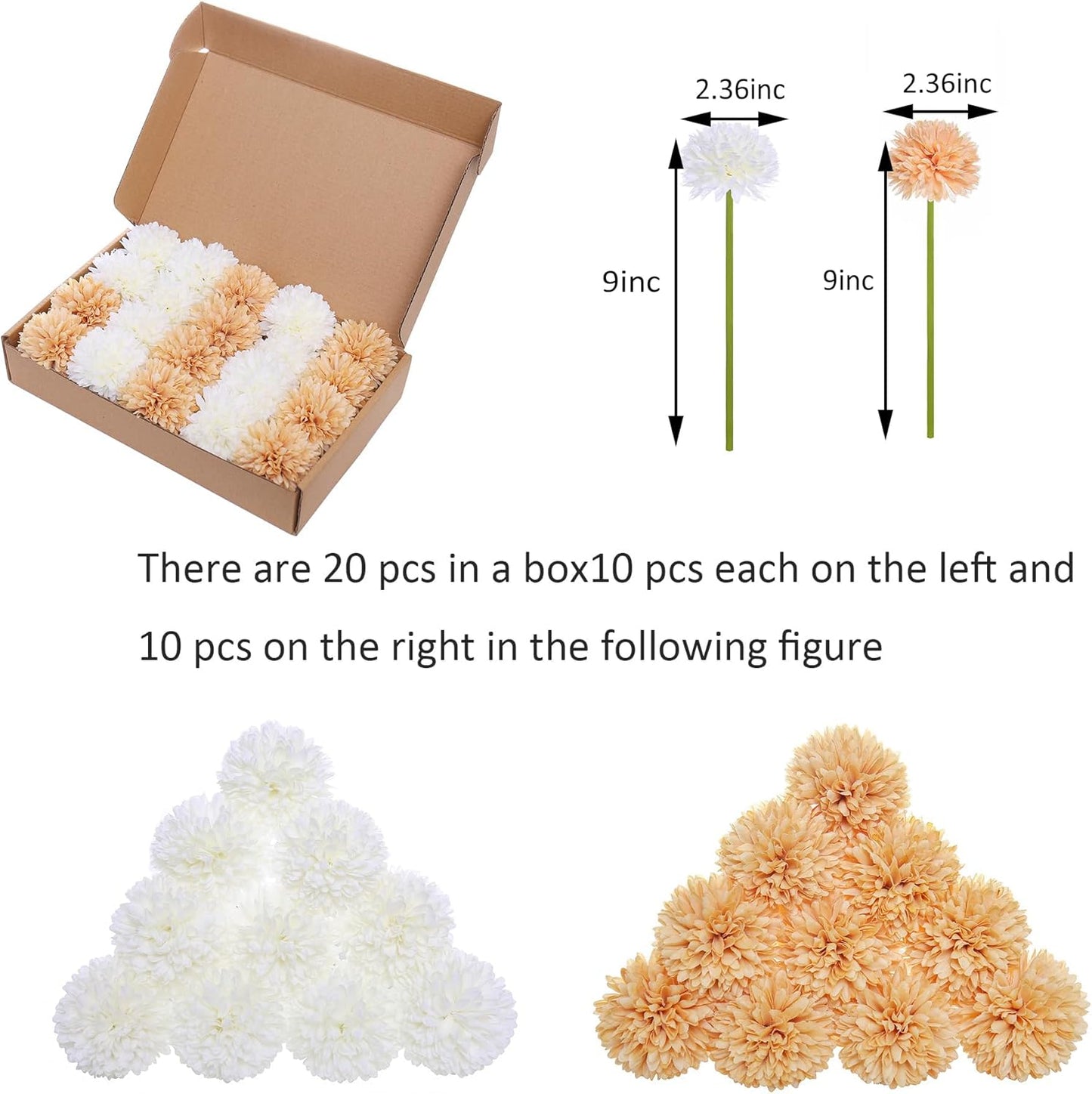 Kimura's Cabin 20Pcs Fake Mums Flowers Artificial Silk Chrysanthemum Faux Ball Flowers for Spring Wedding Arrangements Home Indoor Kitchen Table Centerpiece (White Champagne)