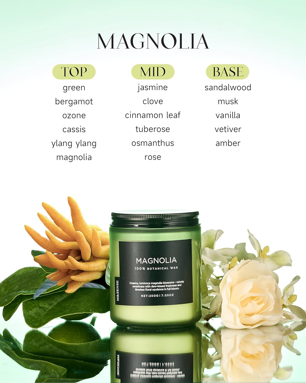 M&SENSE Magnolia Jasmine Scented Candle, 7.05oz 50 Hours Long Lasting Clean Non Toxic All Natural Soy Wax Candle for Relaxing & Stress Relief, 2 Wick Spring Fragrance Gifts for Home Decor