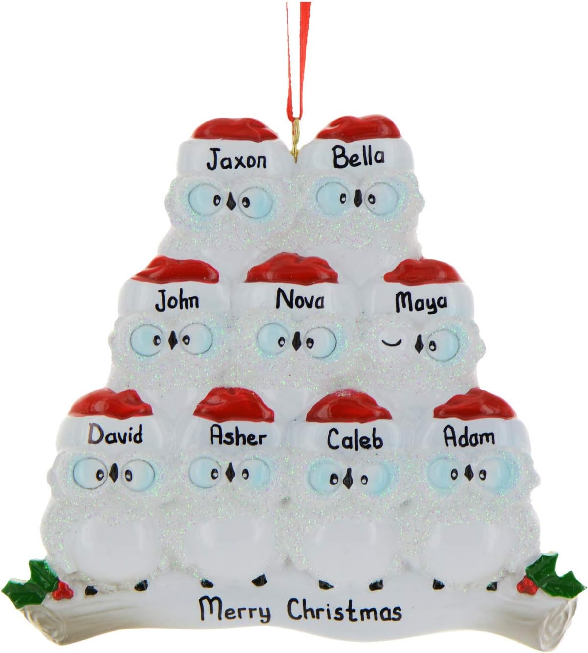 3D Owl Family of 9 Christmas Ornament 2025 Personalized Family Christmas Ornaments 2025 | White Holiday Keepsake Personalized Tree Ornaments Customizable Gifts Woodland Owls of Nine Ornament Holly