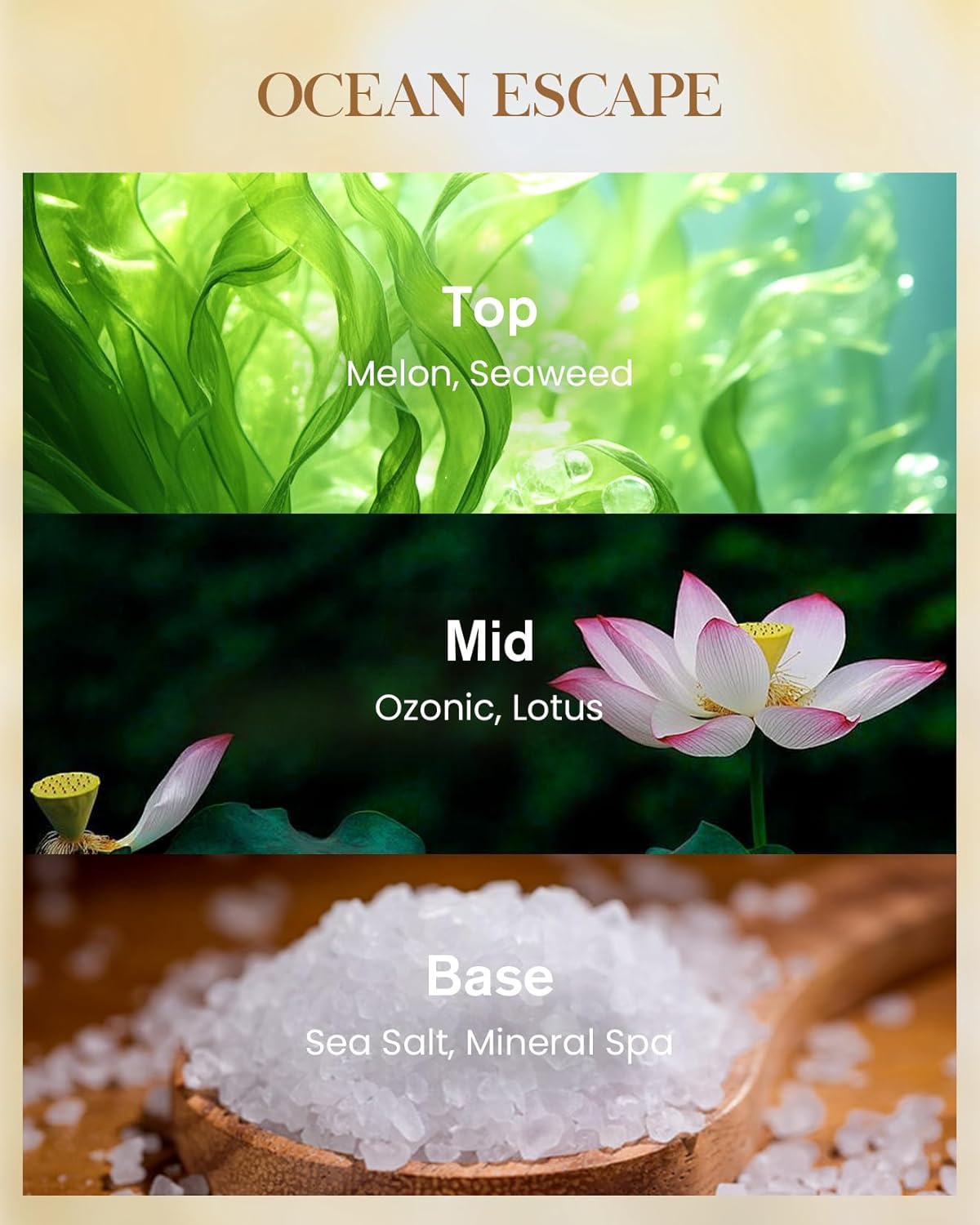 M&SENSE Ocean Escape Scented Candle 35oz 150H Burn Time Long Lasting, 3-Wick Natural Aromatherapy Candle Highly Scented, Home Fragrance Housewarming Gifts