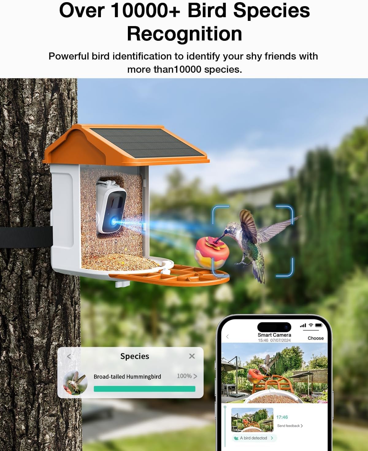 Smart AI Bird Feeder with Camera: Solar-Powered, 2K Live Video, Bird‘s Species Identification, Arrival Alerts, and Motion Capture –Wireless Bird Camera for Watching Birds (Orange)