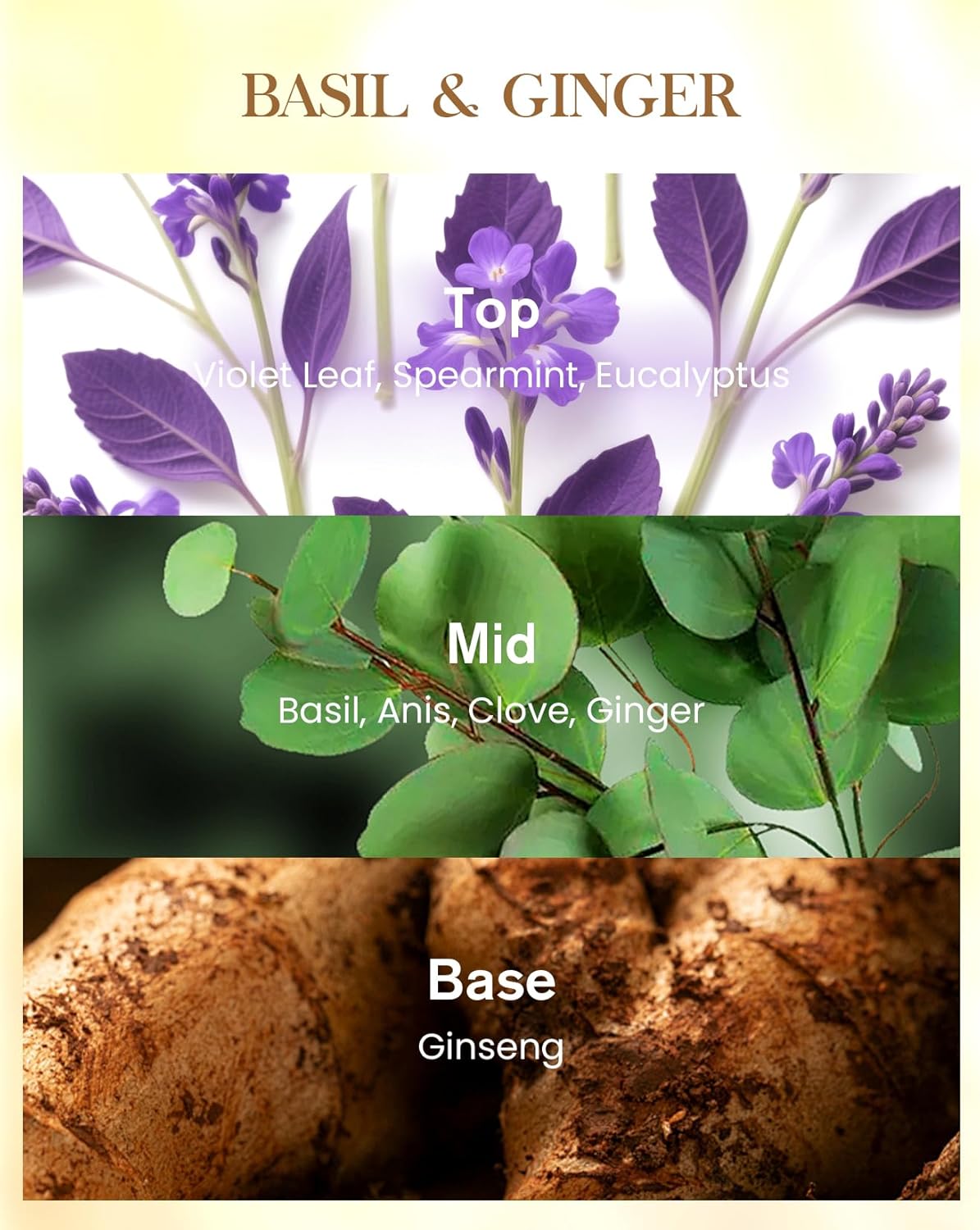 M&SENSE Basil Ginger Scented Natural Soy Wax Candle, 14.1oz 60 Hours Long Lasting Slow Burning Candles for Home Decor, Aromatherapy Candle for Stress Relief