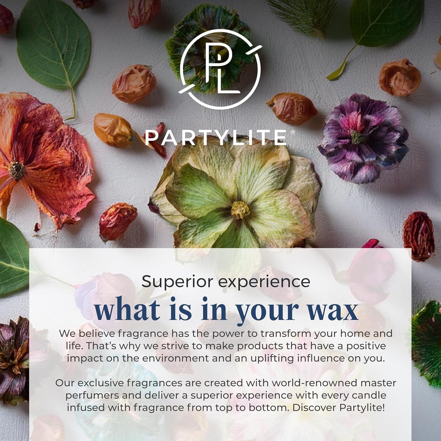 PartyLite 3-Wick Jar Candle, Highly Fragranced Clean Burning Glass Candle, 25-45 Hours Burn Time (Winter Morning)