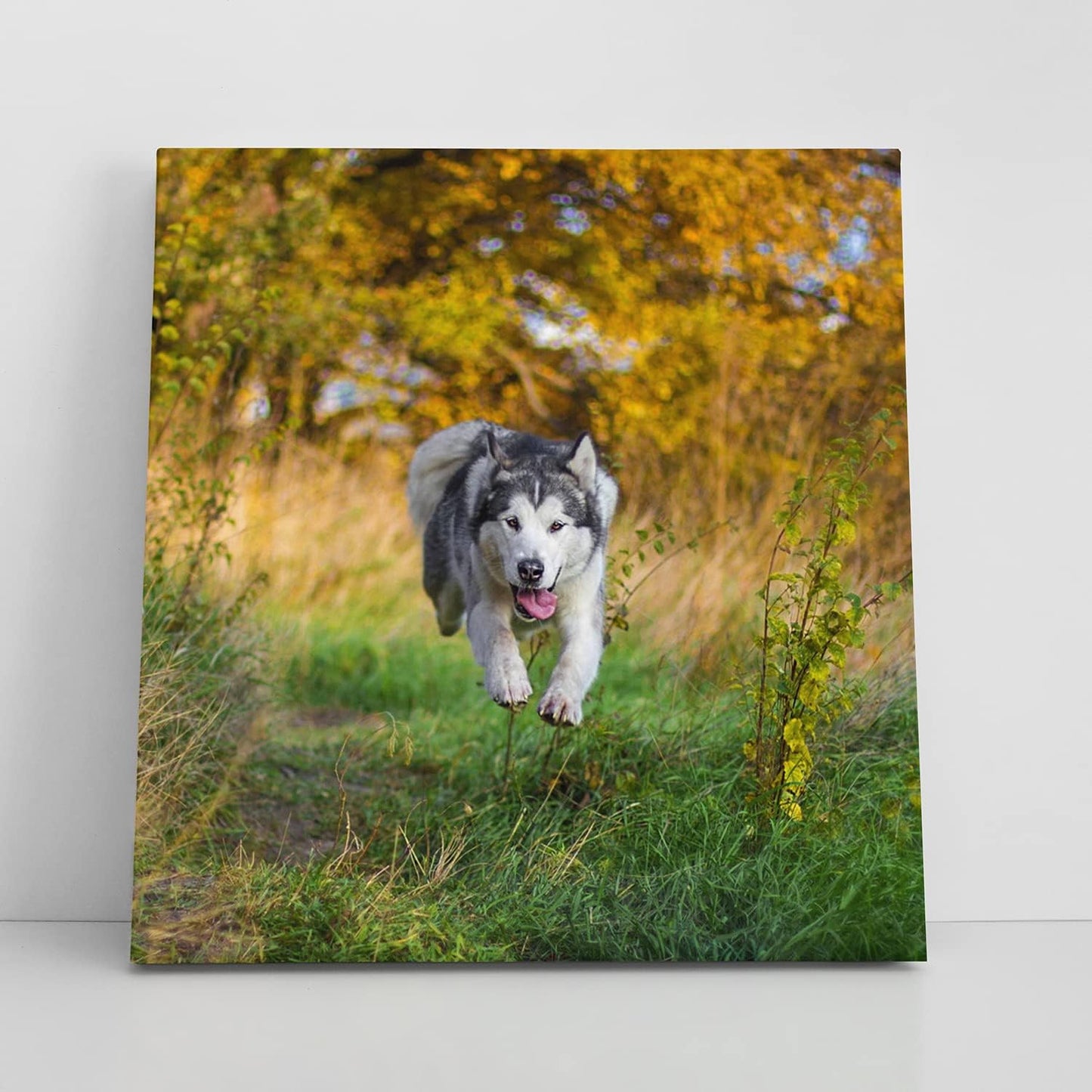 Framed Canvas Prints With Your Photo - Personalized Picture To Canvas Wall Art - Paper Poster Available