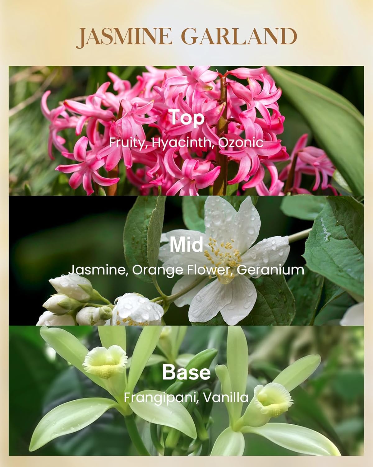 M&SENSE Jasmine Candles Highly Scented 3 Wick 35oz 150 Hours Burn Extra Large Jar Candles for Women, Natural Soy Wax Aromatherapy Candle for Stress Relief, Meditation, Yoga, Spa