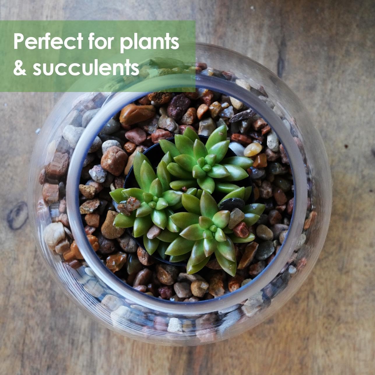 Craft And Party, Glass Bubble Vase, 8" Height x 10" Width, Set of 4 Glass Fish Bowl Vase, Bubble Bowl vase for Terrarium, Flower Vase Centerpiece