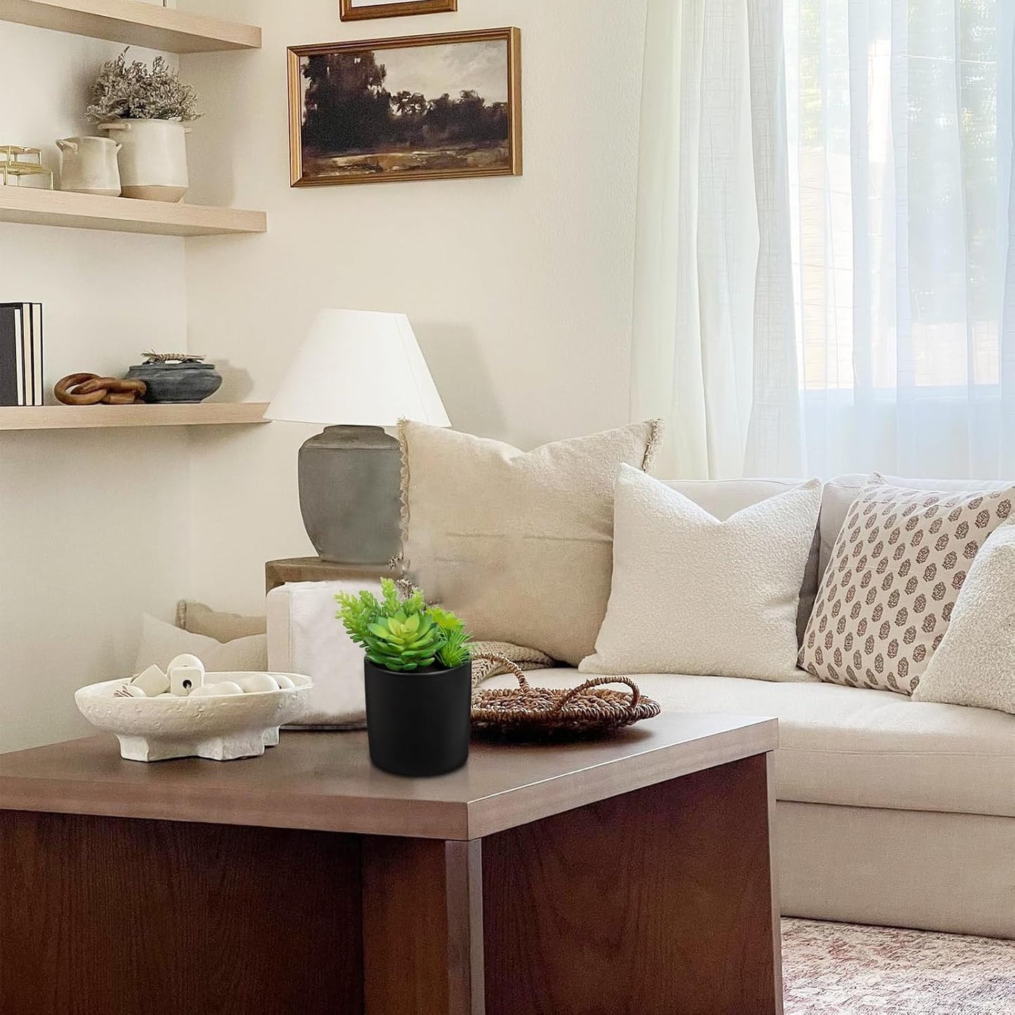 Artificial Succulents in Pots Faux Succulents Plants Fake Succulent Arrangement Potted Plants with Black Ceramic Vase for Office Desk Bathroom Shelf Living Room Indoor Home Decor