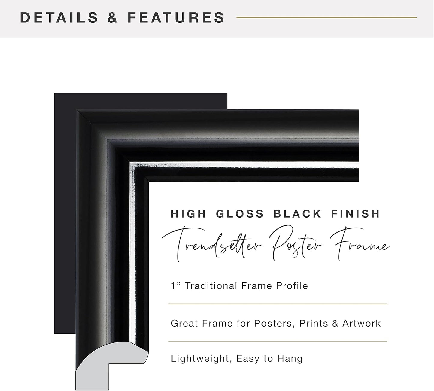 MCS Trendsetter 8x24 Poster Frame Black High-Gloss, Vertical & Horizontal Wall Hanging Large Picture Frame for Photos, Posters & Art Prints (1-Pack)