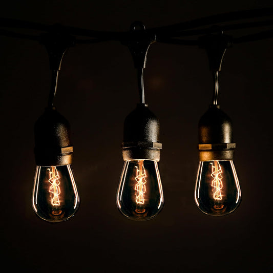 Hometown Evolution, Inc. E26 Outdoor Commercial String Lights with Suspended Socket for Weatherproof Heavy Duty Vintage Outside Lighting (S14 Zig Zag Edison 11 Watt Bulbs, 50 Foot 25 Socket)