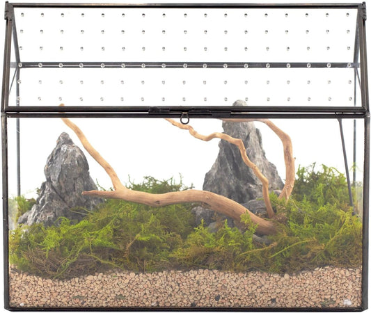 NCYP House Shape Glass Terrarium with Acrylic Lid - 10.2x5.9x8.2 Inches Large Geometric Box for Snails, Ferns, Succulents, Air Plants, Indoor Tabletop Decor, Handmade (Terrarium Only)
