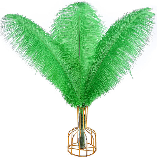 THARAHT Green Ostrich Feathers 12pcs Large Natural Bulk 14-16Inch 35cm-40cm for Wedding Party Centerpieces Mardi Gras and Home Decoration Feathers