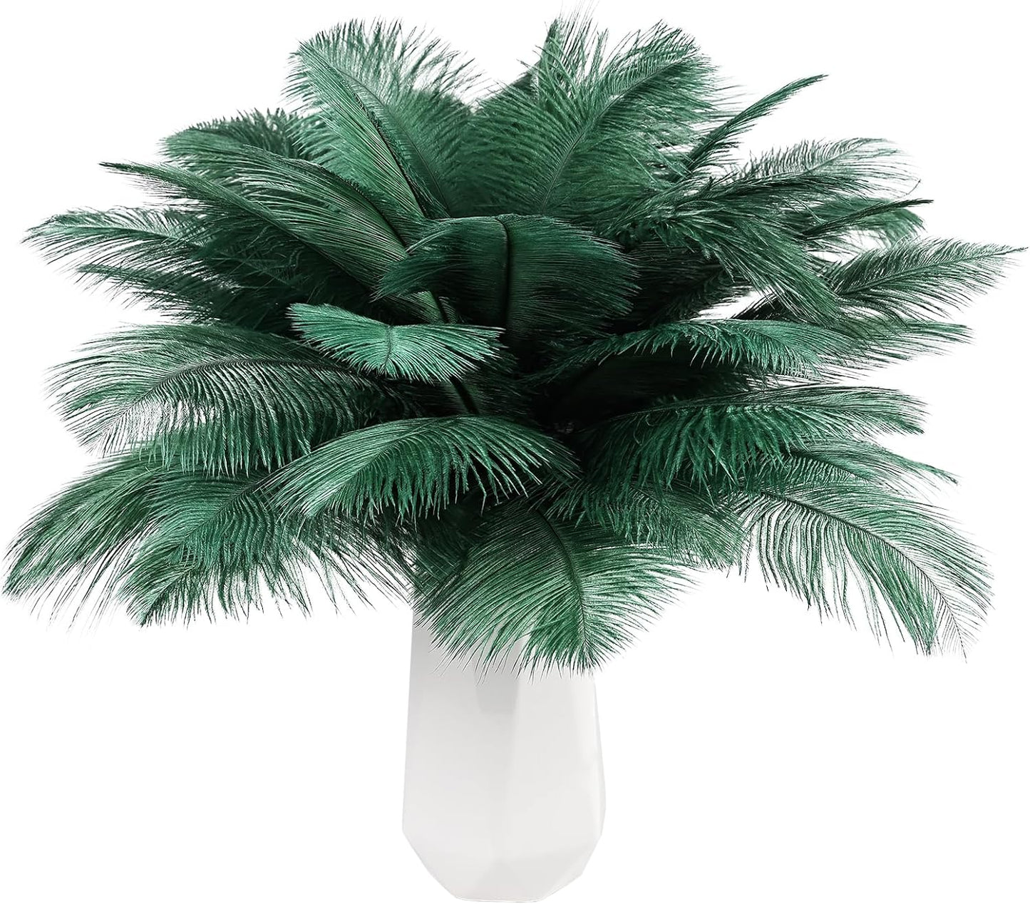 THARAHT Blackish Green Ostrich Feathers 12pcs Natural Bulk 8-10Inch 20cm-25cm for Crafts Wedding Party Centerpieces Mardi Gras Decoration Feather