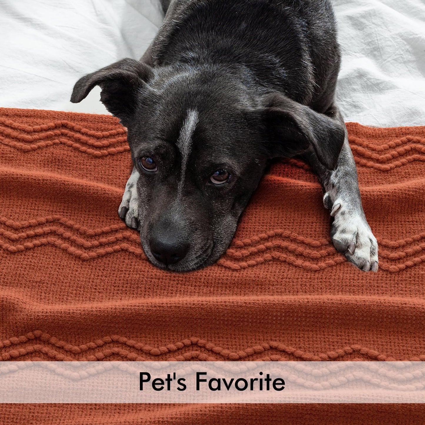 MIULEE Fall Rust Knitted Throw Blanket for Couch Terracotta Boho Textured Cozy Woven Rustic Blanket with Tassels for Sofa Chair Bed Living Room Farmhouse Decor Acrylic Wave Pattern 50"x60"