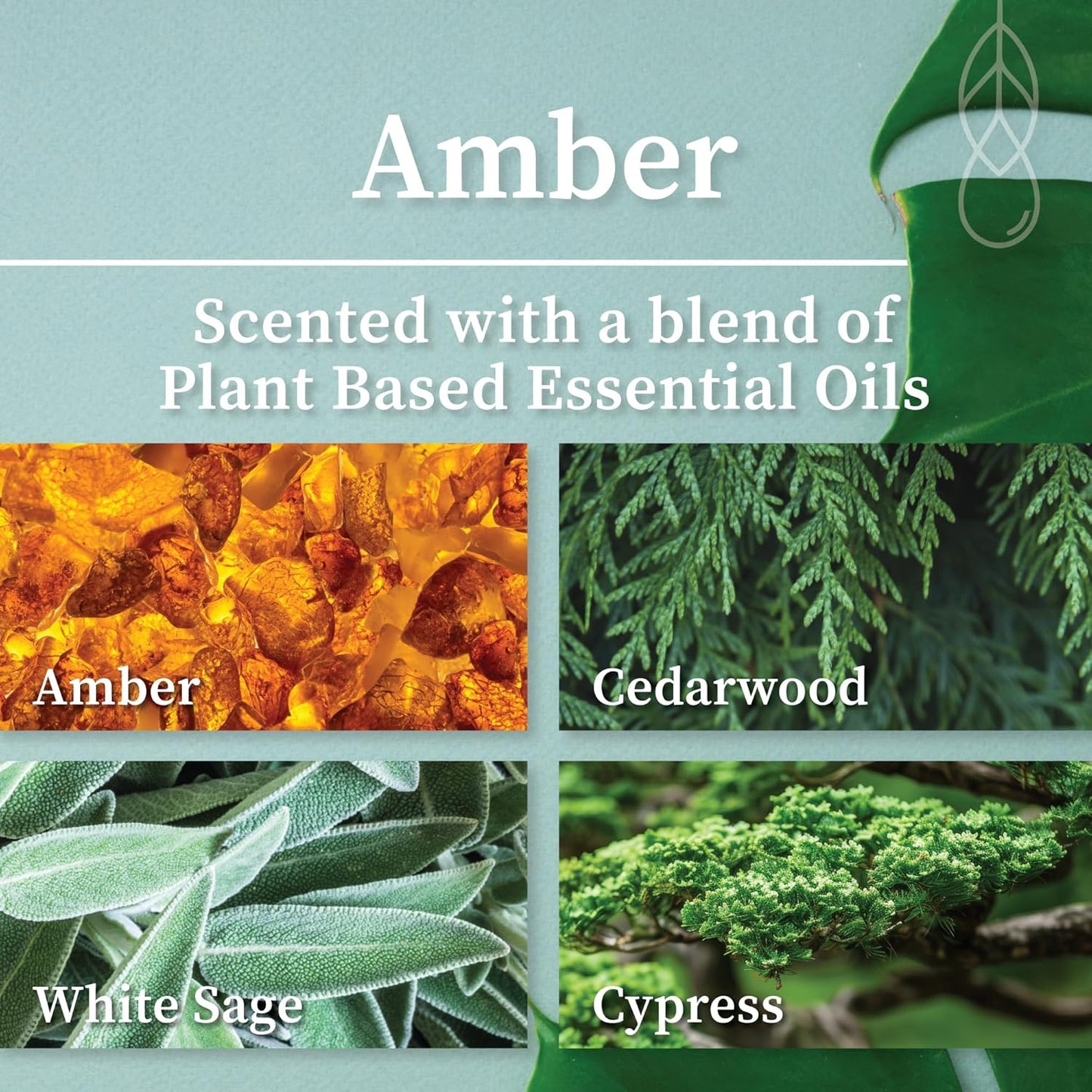 Hemlock Park Wood Wick Candle Handcrafted with Natural Coconut Wax and Essential Oils (Amber & Gold 7.2 oz, Amber)