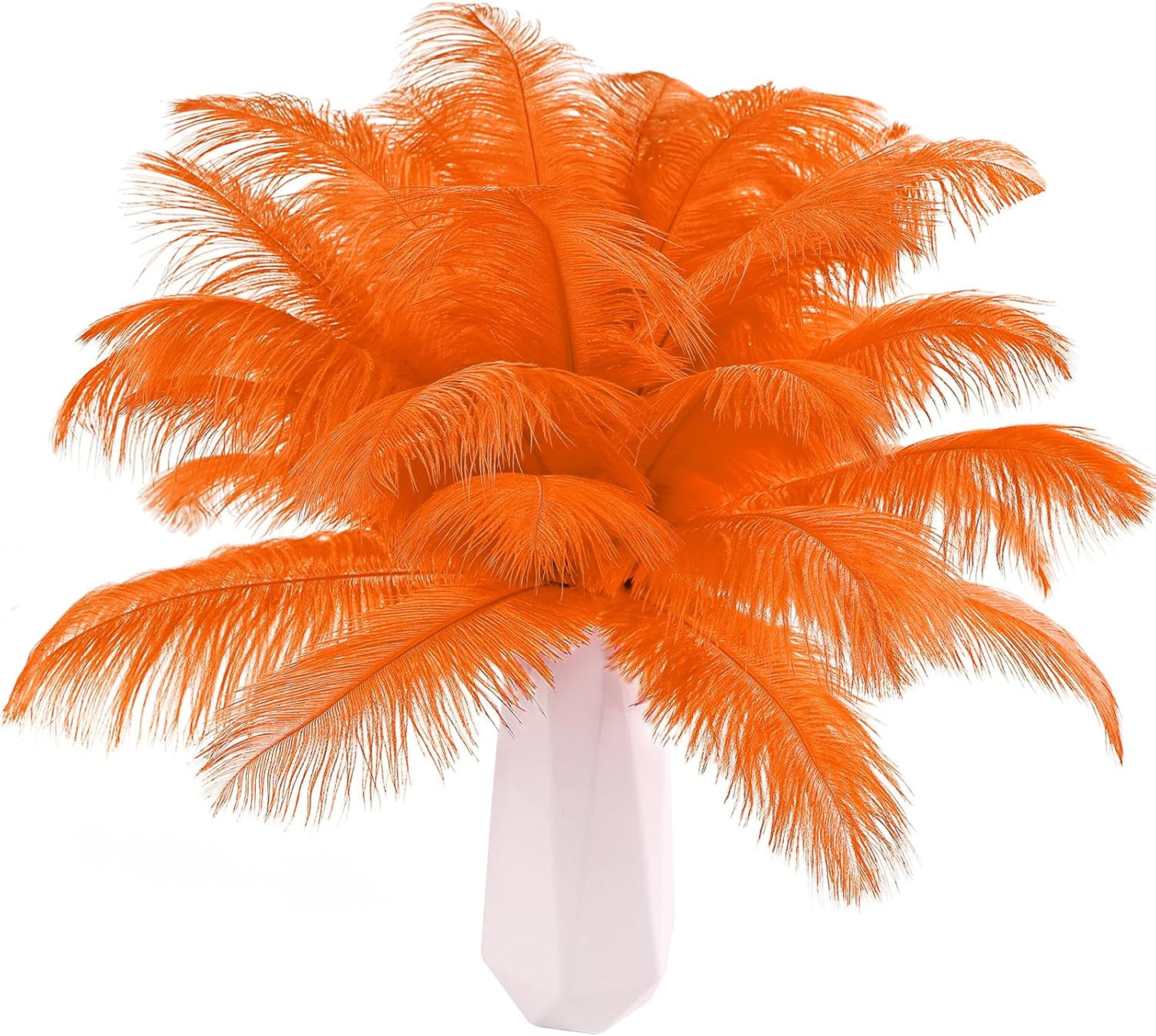 THARAHT Orange Ostrich Feathers 24pcs Natural Bulk 10-12Inch 25cm-30cm for Crafts Wedding Party Centerpieces Halloween and Home Decoration Feathers