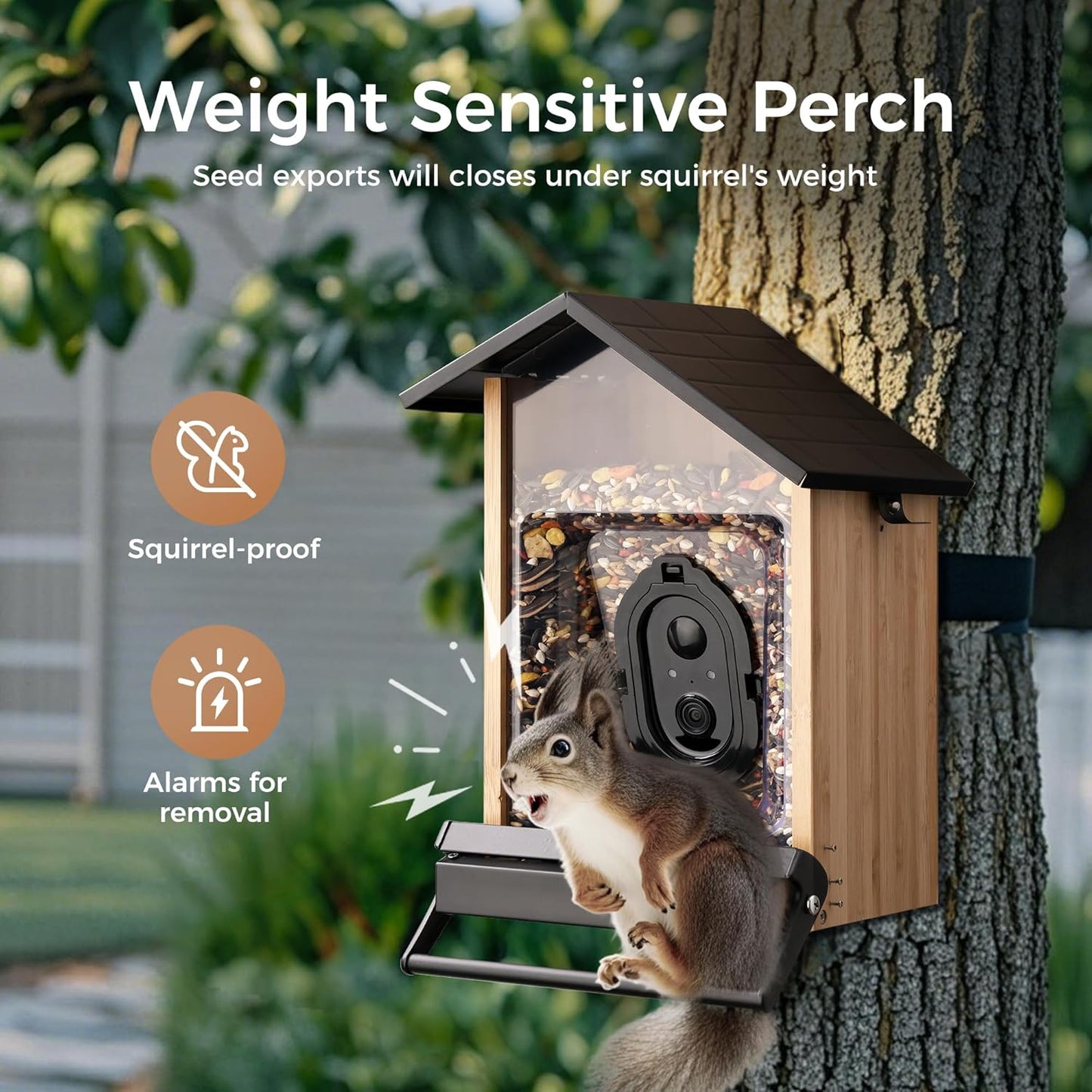 TT Nature Smart Squirrel-Proof Bird Feeder with Camera 2K, Solar Powered, AI Bird Species Recognition, Instant Notification, CCPA Data Security, Bamboo 3.2L Large Capacity, Ideal Gift