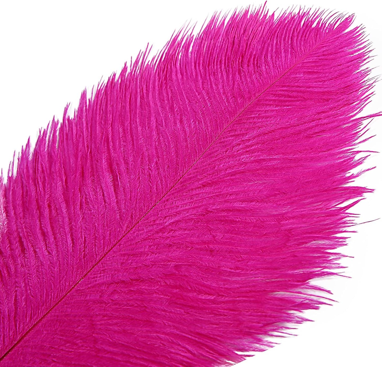 THARAHT 12pcs Hot Pink Ostrich Feathers Natural Bulk 14-16Inch 35cm-40cm for Wedding Party Centerpieces Easter Gatsby and Home Decorate Ostrich Feathers