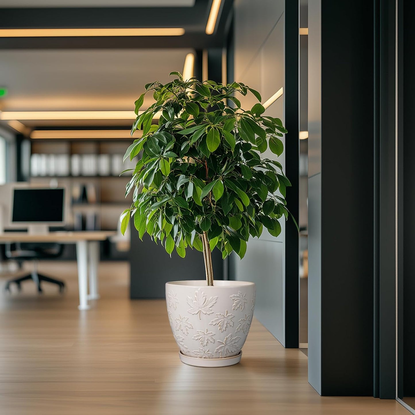 Pots for Plants 10 Inch - Ceramic Planter Large Plant Pot for Indoor Plants Outdoor Round Flower Pot with Drainage Hole and Saucer Home Garden Decor White