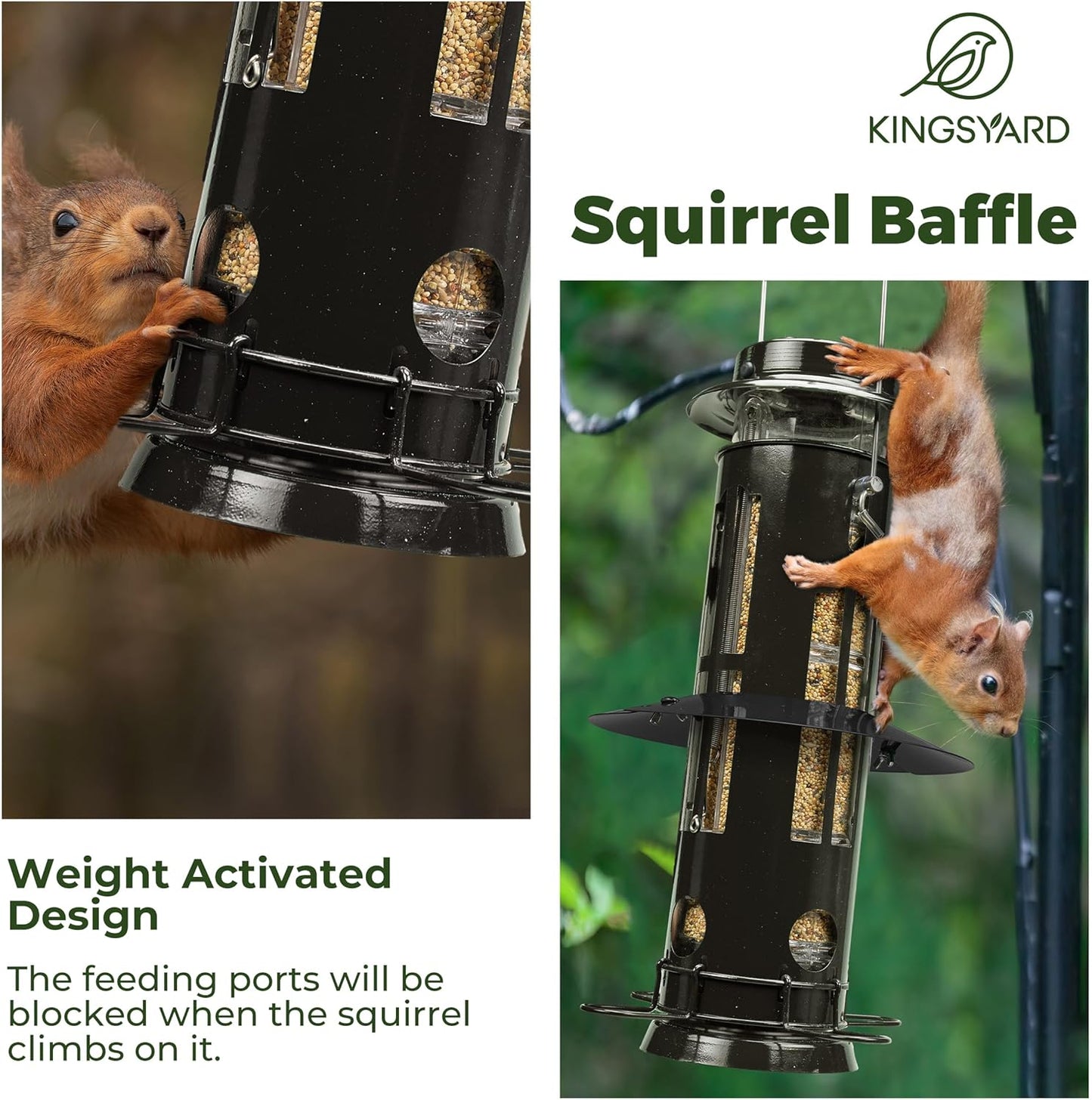 Kingsyard Squirrel Proof Bird Feeder with Removable Base, All Metal, Tube Bird Feeders for Outdoors Hanging, Easy to Clean & Refill, Black