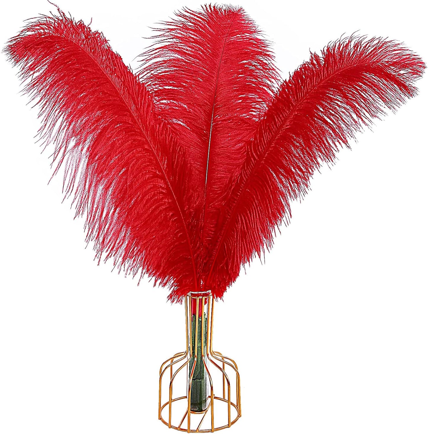 THARAHT Red Ostrich Feathers 12pcs Large Natural Bulk 12-14Inch 30cm-35cm for Wedding Party Centerpieces Halloween and Home Decoration Feathers