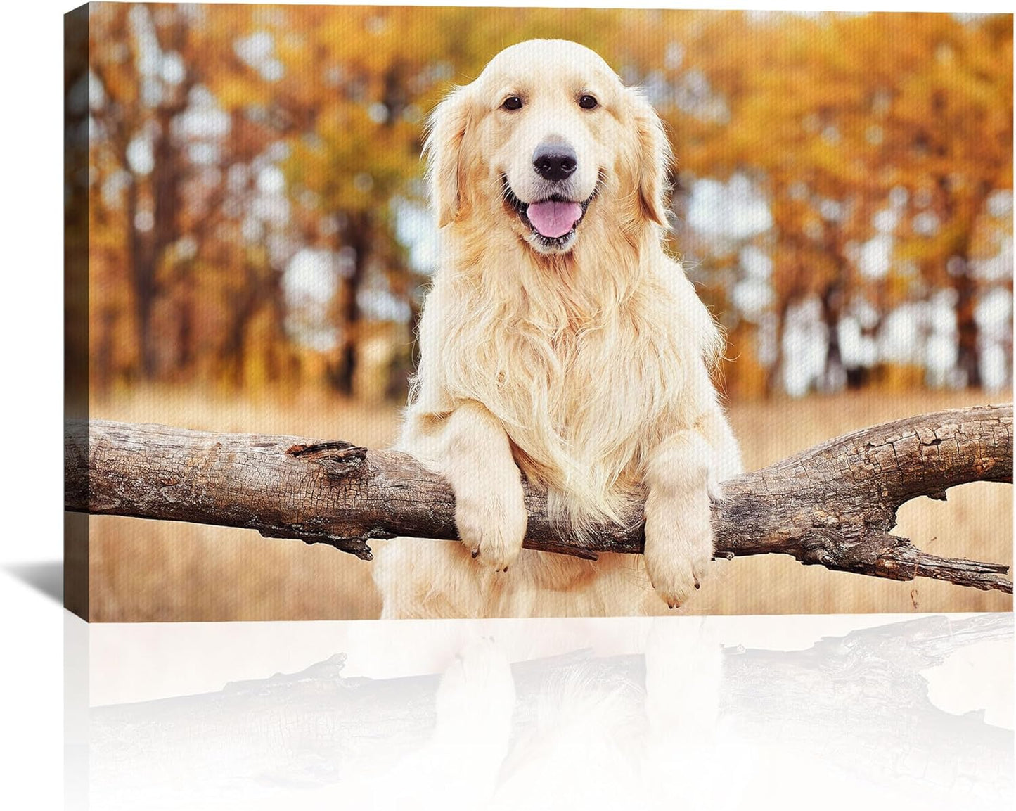 SPECPIX Custom Canvas Prints with Your Photos Personalized Photo Canvas Print Wall Art Customized Canvas Picture Frame Gifts for Pet Baby Family Mom Dad Men Women Couple Boyfriend Girlfriend