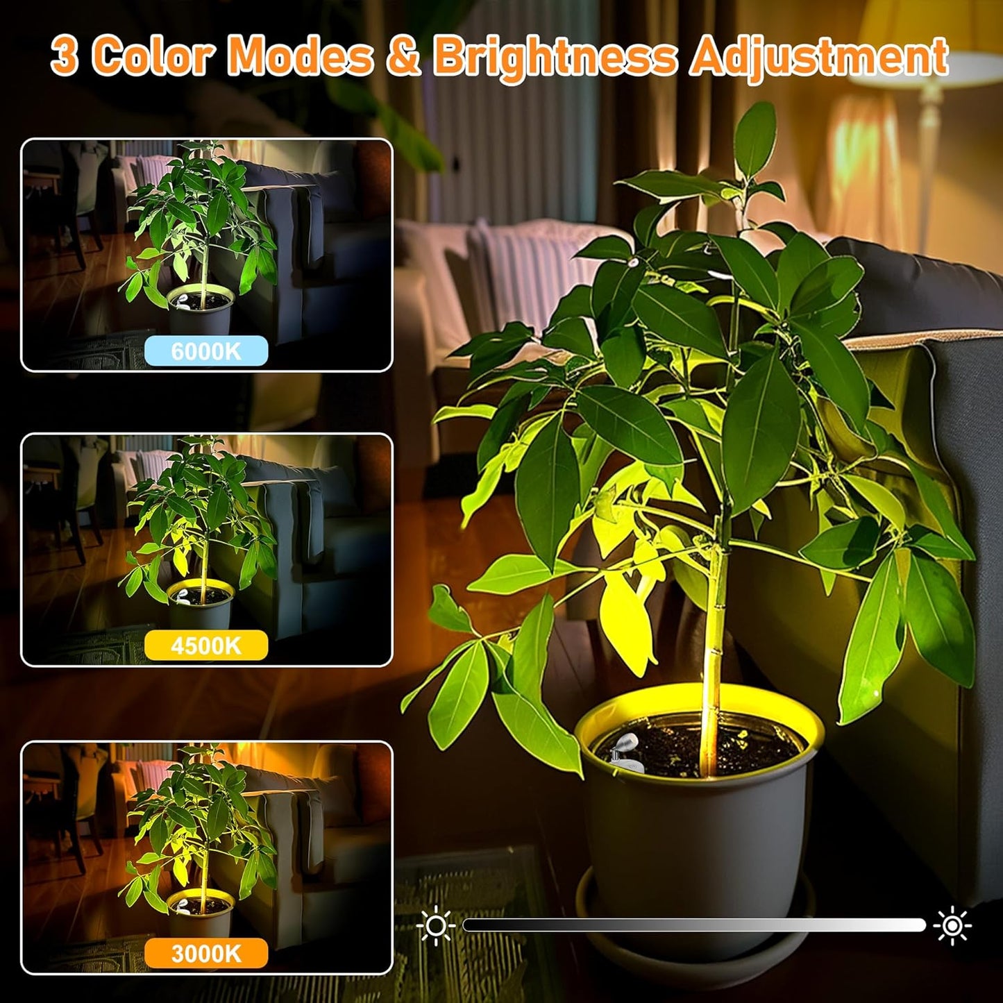 4 Pack Wireless Spot Lights Indoor, Battery Operated Uplighting, Mini Spotlight with Remote 3CCT Tree Lights Indoor, Accent Wall Lights for Display Plant Picture Dartboard