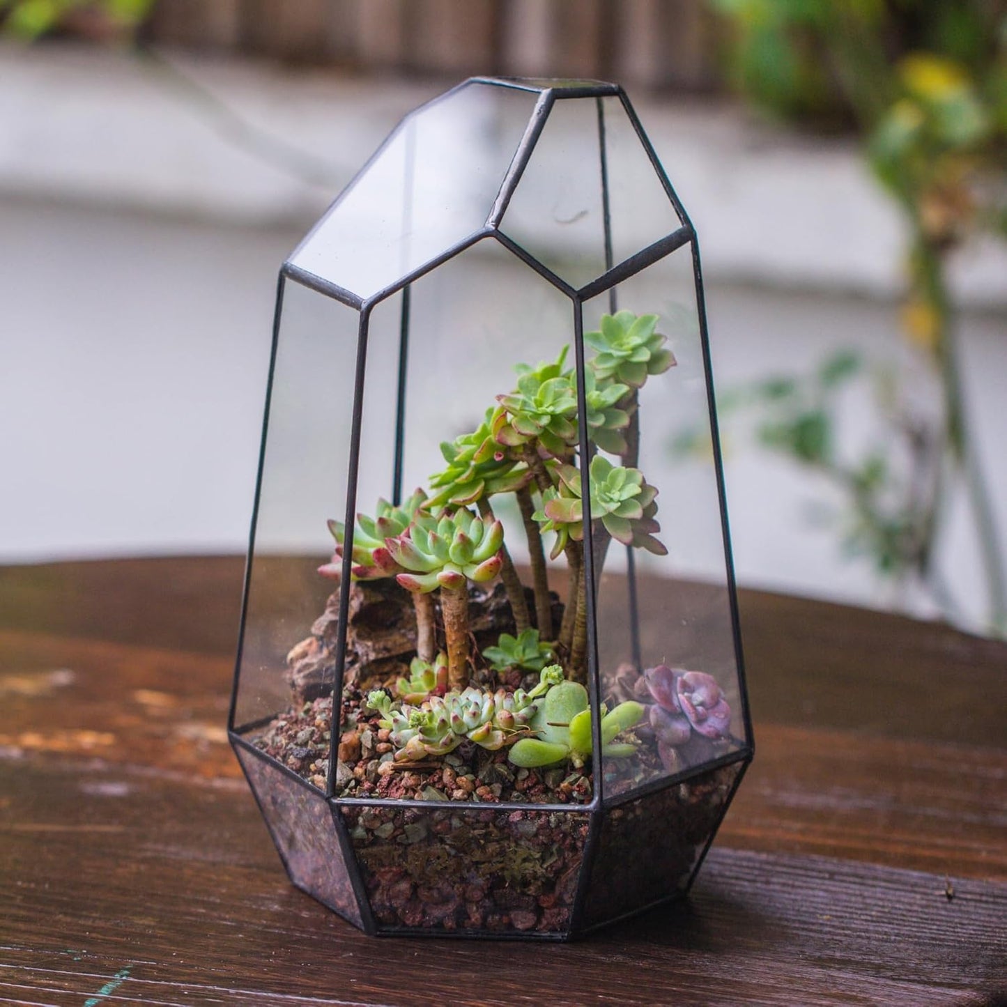NCYP Geometric Glass Terrarium Planter for Succulent, Small Cacti, Black Irregular Opened Container Pot, Indoor Home Garden Office Tabletop Decor, 6.5" x 5.7" x 9.8" (No Plants, No Door)