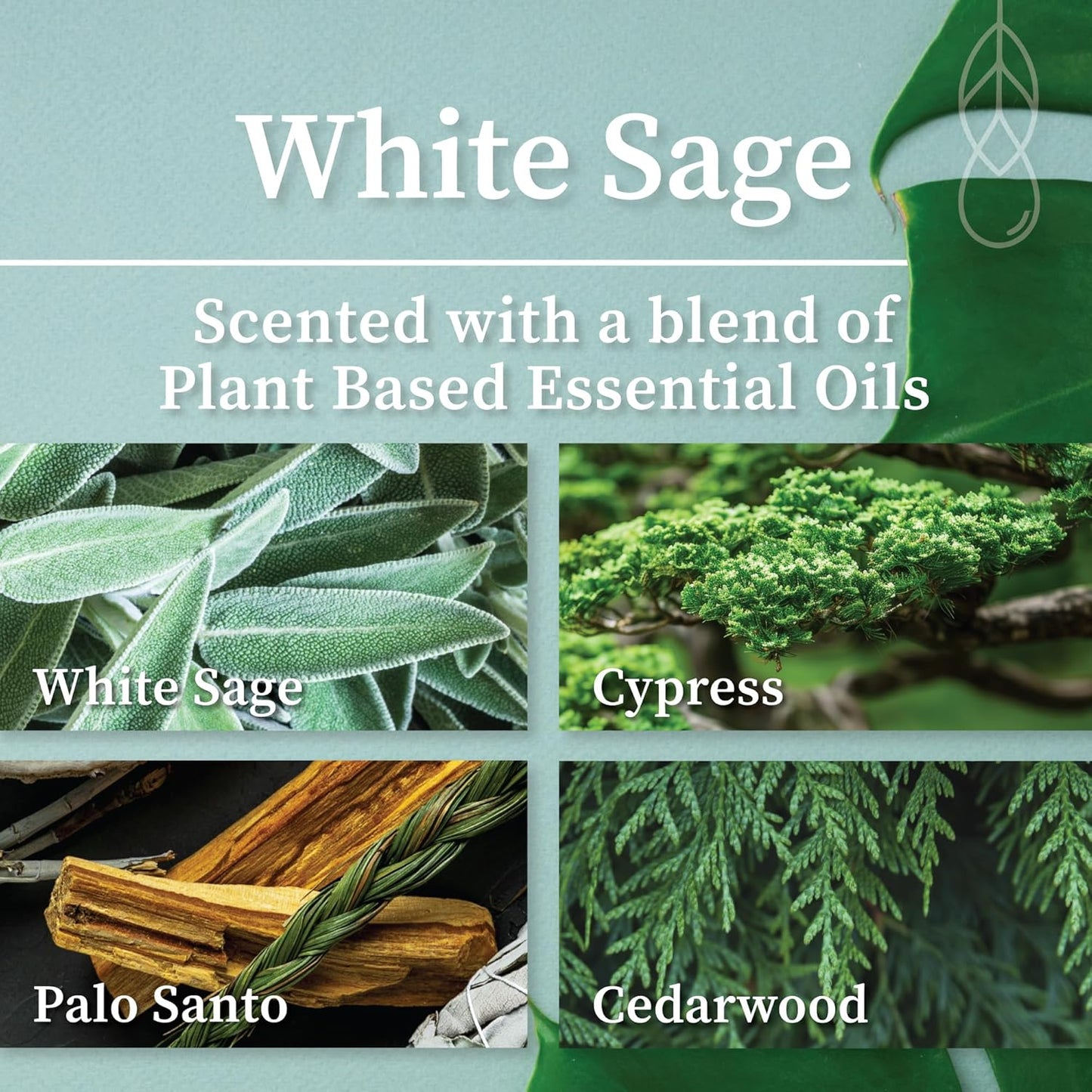 Hemlock Park Wood Wick Candle Handcrafted with Natural Coconut Wax and Essential Oils (Amber & Gold 7.2 oz, White Sage)