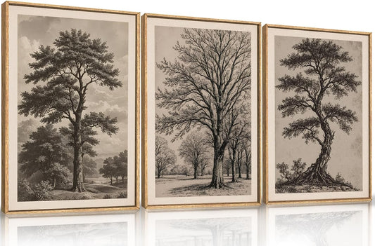 HPINUB Vintage Sketch Tree Framed Canvas Wall Art Set,Modern Nature Botanical Wall Decor, Antique Wilderness Tree Artwork,Minimalist Neutral Art Prints for Living Room,Bedroom,Farmhouse-16 x24 x3