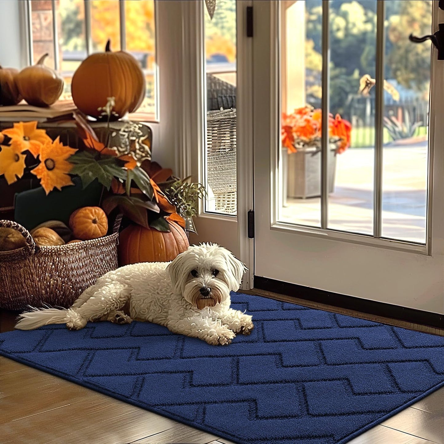 hicorfe Indoor Door Mat,Non Slip Door Mats,32"x48" Front Back Door Mat Rubber Backing,Absorbent Resist Dirt Entrance Inside Floor Mats for Entryway Washable Low-Profile(Navy Blue)