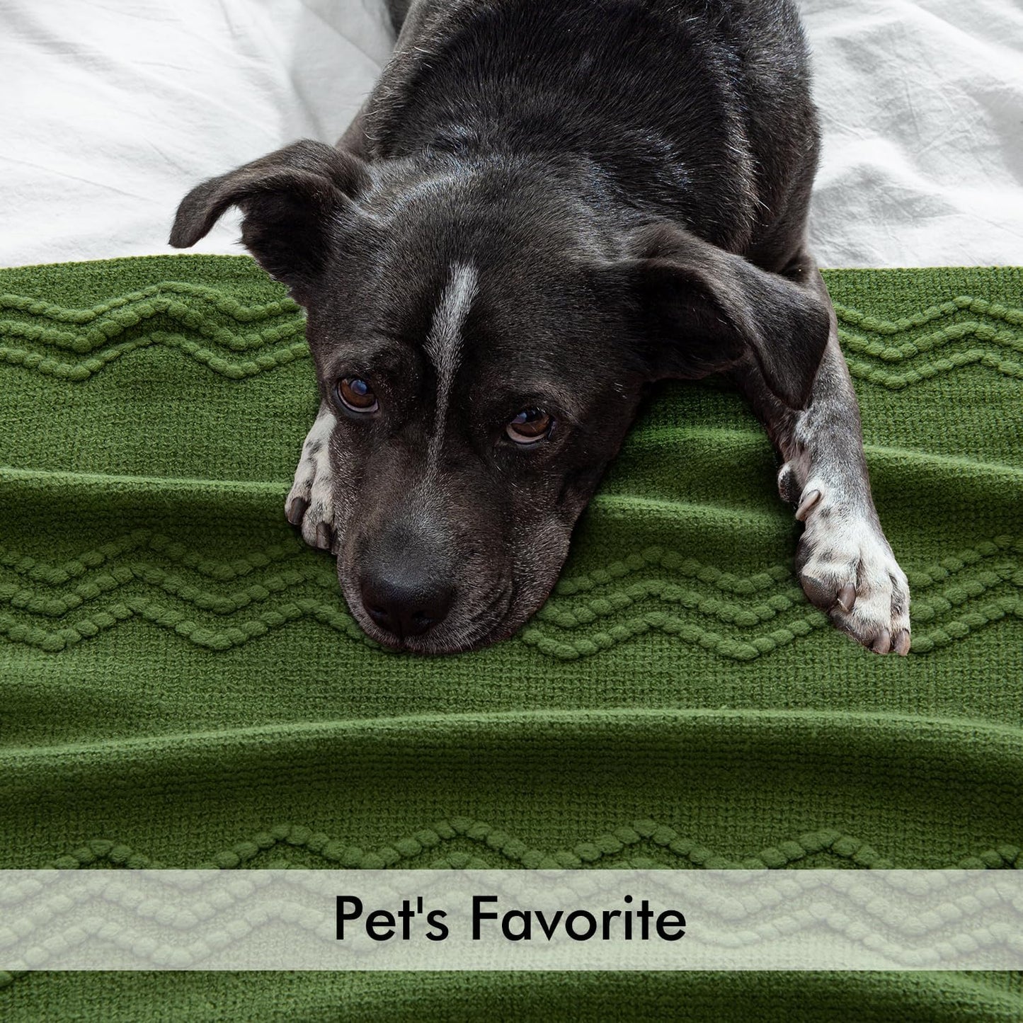 MIULEE Olive Green Knitted Throw Blanket for Couch Boho Textured Cozy Woven Blanket with Tassels for Sofa Chair Bed Living Room Spring Acrylic Wave Pattern 50"x60"