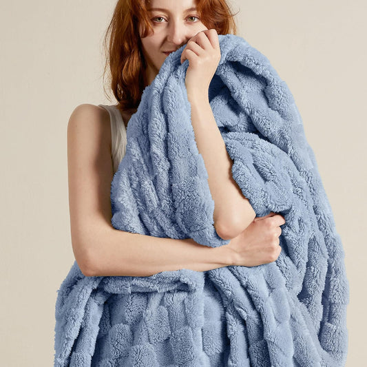 Bedsure GentleSoft Twin Blanket for Bed Ashley Blue - Super Soft Cozy Blankets for Women Men Girls, Cute Fuzzy Fleece Throws for Bedroom Couch, 60x80 Inches