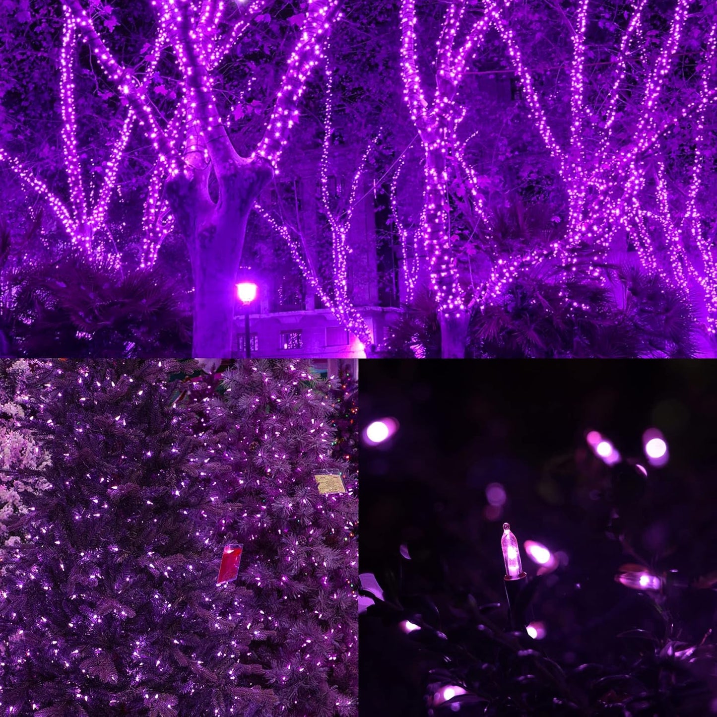 WATERGLIDE 2 Pack 50 LED Outdoor Halloween Lights, 16 FT Mini String Light with 8 Modes, Waterproof Battery Operated Tree Lights for Indoor Outdoor Patio Garden Party Wedding Decoration, Purple