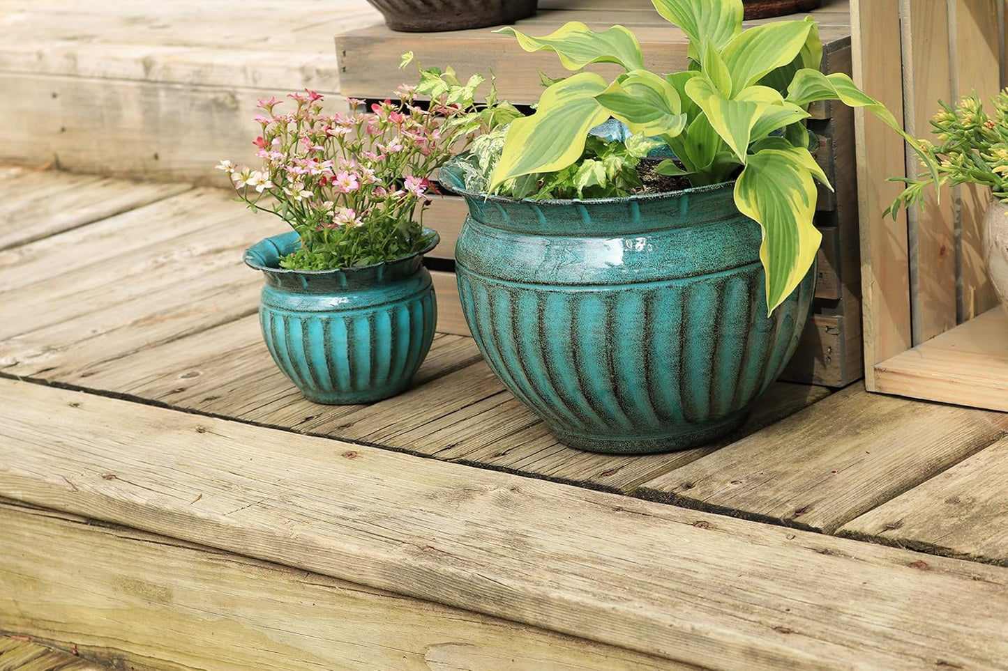 Headwind 10" Sutton - Surf