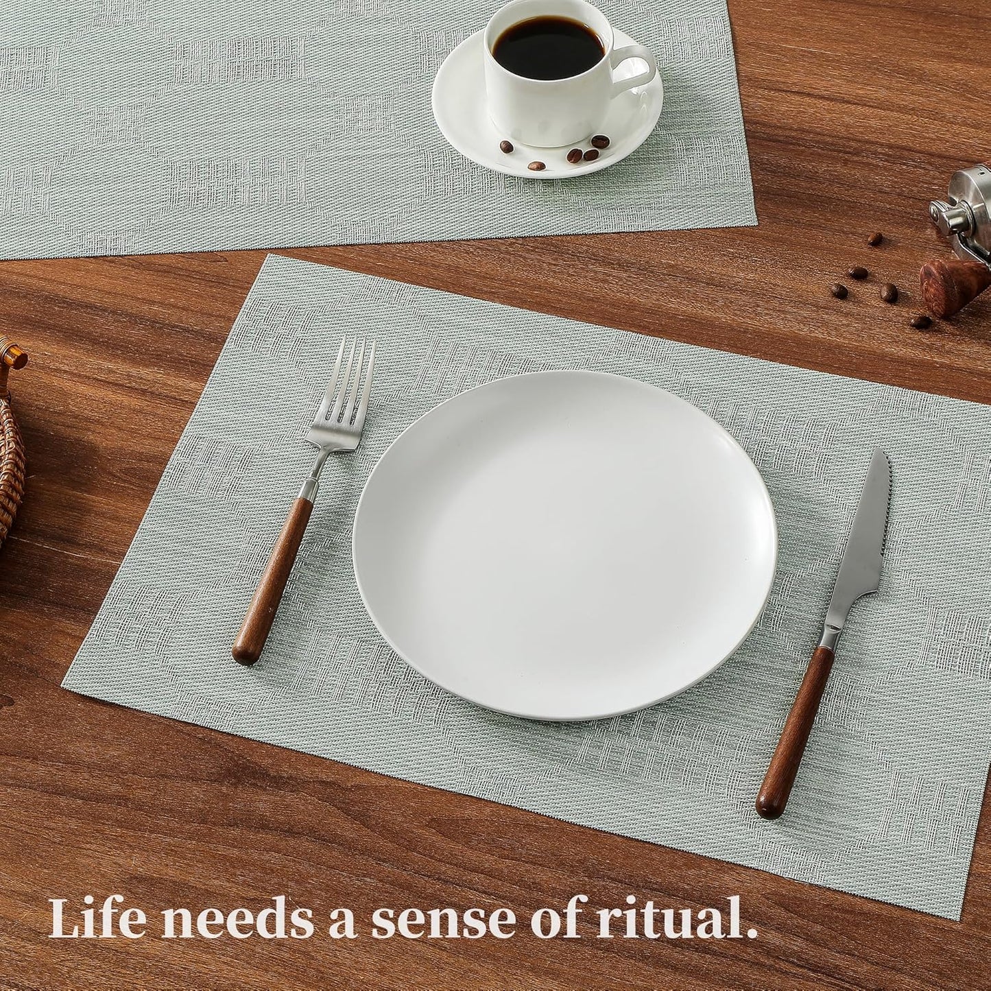 Leetaltree Mint Cream Placemats Set of 12 - Heat Resistant Non-Slip Place mats for Dining Table, Washable Durable PVC Vinyl Woven Table Mats（Mint Cream, 12）